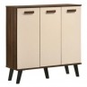 Storage Cabinets (Plastic/Metal/Wood)